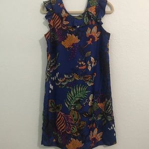 Jcrew Ruffle Neck Dress